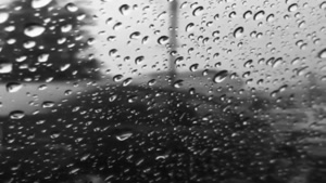 کلیپ باران برای وضعیت واتساپ / اهنگ یه روز بارونی