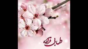 کلیپ عید اومده فصله بهاره/کلیپ خونه تکونی/کلیپ پیشاپیش عید نوروز مبارک/کلیپ زیبا برای نوروز و بهار