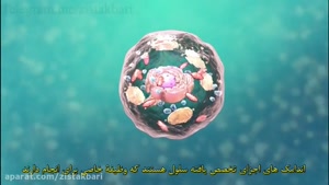 انیمیشن آموزشی: توضیح ساختار سلولی
