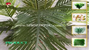 تولید درختچه مصنوعی نخل فینیکس برگ پهن | فروشگاه ملی