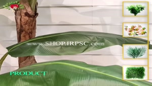 تولید درختچه مصنوعی موز 4 تکه | فروشگاه ملی