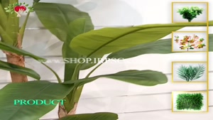 تولید درختچه مصنوعی موز لمسی ارتفاع 2 متر | فروشگاه ملی