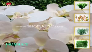 تولید گل مصنوعی ارکیده سفید رنگ| فروشگاه ملی