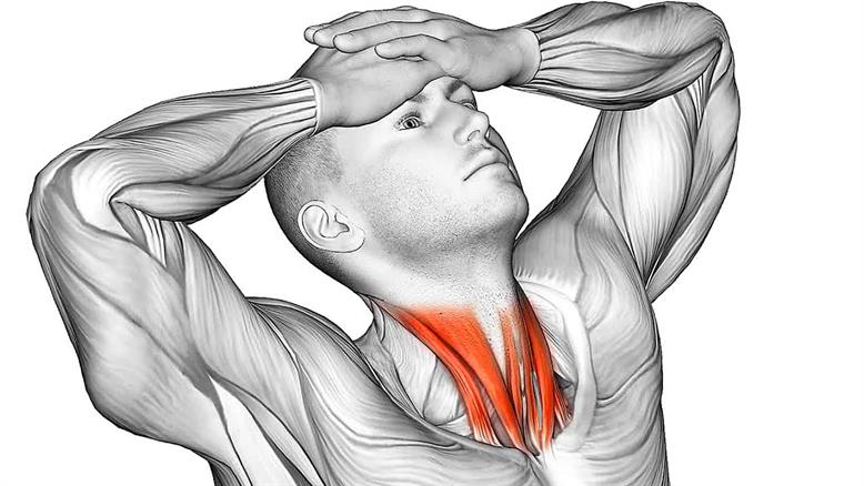 15 تمرین موثر برای تسکین گردن درد
