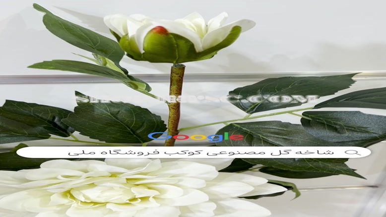 تولید شاخه گل مصنوعی کوکب رنگ بندی سفید پخش از فروشگاه ملی