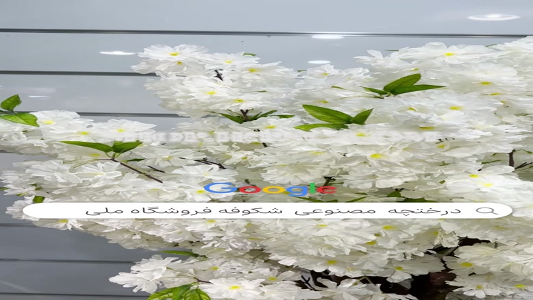 تولیددرختچه تزیینی شکوفه پخش از فروشگاه ملی ارتفاع 180 سانتی