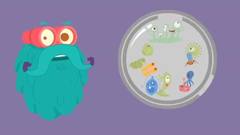 Microorganisms | The Dr. Binocs Show- Bacteria