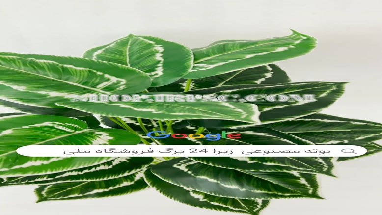 تولید درختچه مصنوعی زبرا مدل 24 برگ پخش از فروشگاه ملی