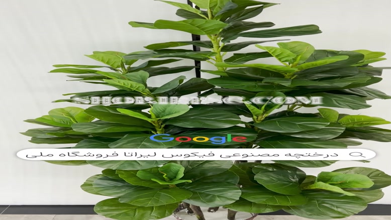 تولید درختچه مصنوعی فیتوس مدل 5 تکه |فروشگاه ملی