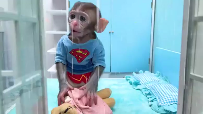 برنامه کودک بچه میمون بامزه با داستان آویزان کردن لباس
