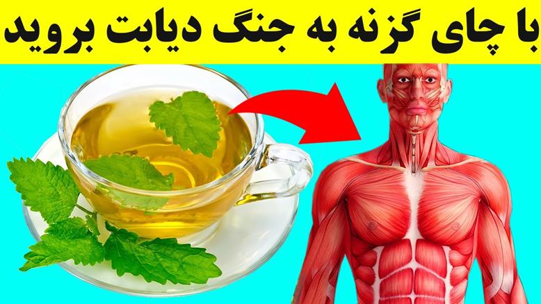 درمان دیابت با چای گزنه