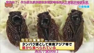 مسابقه ی سوسک خوری دختران ژاپنی !!!!