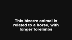 عجیب ترین جانوران ماقبل تاریخ